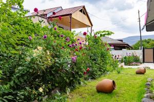 Aed väljaspool majutusasutust Vardzia Guesthouse Tmogvi