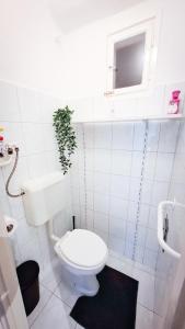 a bathroom with a toilet and a plant on the wall at Május 1 apartman in Dunaújváros +15 photos