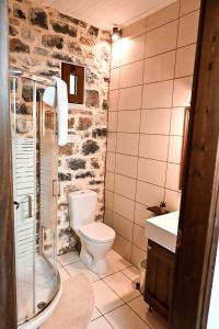 a bathroom with a toilet and a shower and a sink at Zefki Stone Villa in Fodele +79 photos