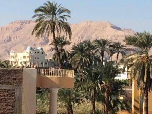 Naturlandskabet i nærheden af lejligheden