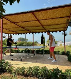 Stolní tenis v ubytování Ballkan nebo okolí