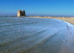 a beach with a group of rocks in the water at Il Nido dAmare in Ladispoli