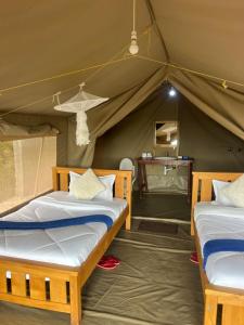 a bedroom with two beds in a tent at Golden Sky Mara in Sekenani