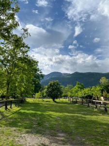 a field with a fence and trees and mountains at Agriturismo al Ranch in Castello dʼAviano