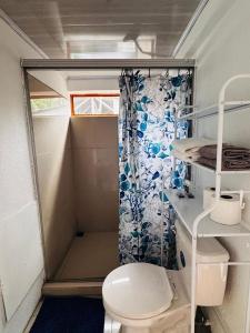 a small bathroom with a toilet and a shower at Lewis's Apartamentos #31 in Puerto Viejo