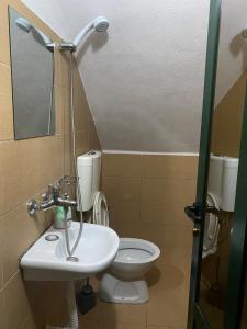 Un baño con un inodoro blanco y un lavabo. en Charming Lakeside Stay, en Pogradec
