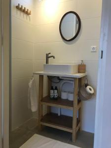 a bathroom with a sink and a mirror at Very unique 'tiny house' with Hottub in Rijsenhout