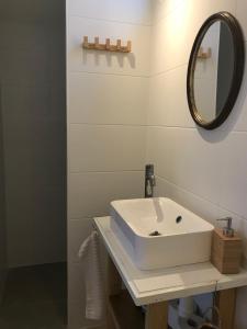 a bathroom with a white sink and a mirror at Very unique 'tiny house' with Hottub in Rijsenhout