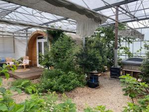 a garden with a greenhouse and a patio with plants at Very unique 'tiny house' with Hottub in Rijsenhout