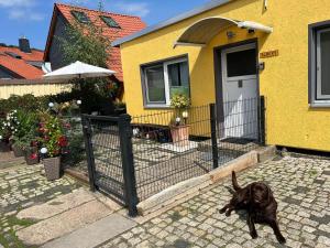 Bungalow in Wernigerode near Ski Slope