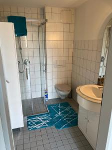 a bathroom with a shower and a toilet and a sink at Ferienwohnung Am Wasen in Pleinfeld