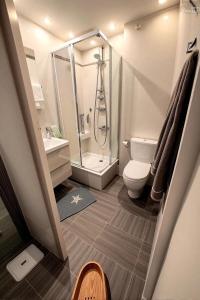Un pequeño baño con ducha y WC. en Résidence Rachel 22, en Mons