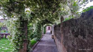 an alley with white flowers on a wall at Corte Piri in Tricase