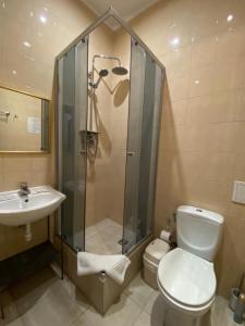a bathroom with a shower and a toilet and a sink at Staryi Krakiv in Lviv +84 photos