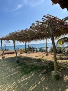 a straw hut on the beach near the ocean at Pelican House in Rivas