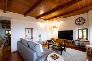 a living room with a couch and a tv at Vines & Views in Ano Volos