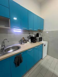Dapur atau dapur kecil di Brodsky's Cat Art Hostel