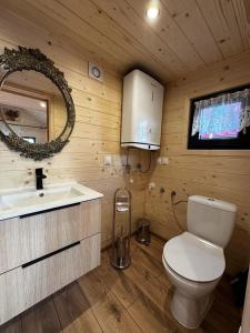 une salle de bain avec toilettes, lavabo et miroir dans l'établissement ECO Domek Tatry Ski out Bukowina, à Bukowina Tatrzańska
