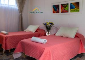 Giường trong phòng chung tại Aparta Hotel en San Carlos