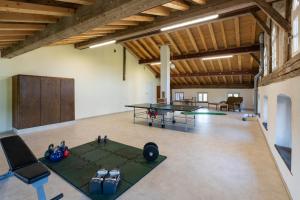 a room with a ping pong table and ping pong balls at Huberhof Meisham in Eggstätt