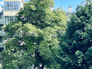 un grand arbre devant un grand bâtiment dans l'établissement Good Vibes Only - spacious Residence, à Bratislava