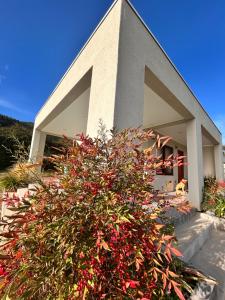 a building with a bush in front of it at Casa Lolol Colchagua in Rincón de Ubilla