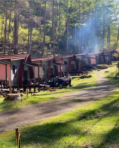 une rangée de cabanes sur un chemin de terre dans une forêt dans l'établissement Sakurashimizu Cottage/ Camp & Gramping, à Matsumoto