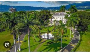 una vista aerea di una casa con palme di Apt Near Devon - Kingston- POOL- B306 FIWI a Kingston