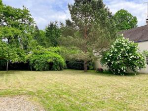 Κήπος έξω από το Gîte du Marais - Proche Chambord, Wifi, Animaux admis, Parking privé - FR-1-491-467