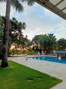 a dog is standing next to a swimming pool at Parque das árvores hospedagem e eventos in Barretos
