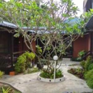 Nipah Bay Villa外面的花园