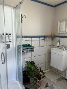 a bathroom with a shower and a toilet and a sink at Wisteria Way in Opononi +62 photos