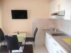 Kuchyň nebo kuchyňský kout v ubytování Guesthouse Mira