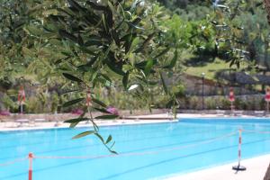 Bassein majutusasutuses Hotel Delle More või selle lähedal