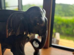 Ospiti di 六弥苑 con animali domestici