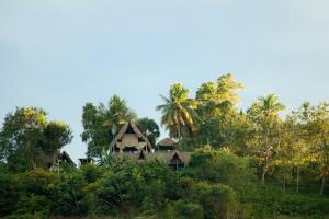 a house on top of a hill with trees at Ecolodge Tubagua Puerto Plata in Tubagua
