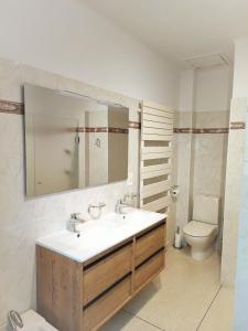 a bathroom with a sink and a toilet and a mirror at Maison provençale les fourmis in Les Issambres +5 photos