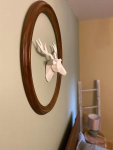 a mirror with a reindeer head on a wall at Szarvas és Bagoly Kalandház in Szarvas +48 photos