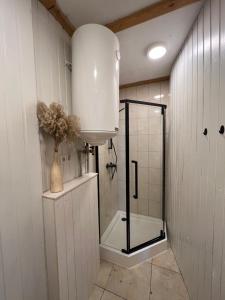 a bathroom with a shower with a glass door at Villa in Vistytis in Vištytis