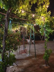 ein Spielplatz mit einer Schaukel in einem Garten bei Nacht in der Unterkunft Mi niña Lola in Fuengirola