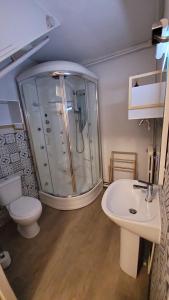a bathroom with a shower and a toilet and a sink at Gîte La Giroflee in Meillonnas