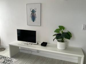 einem weißen Schreibtisch mit Monitor und einer Pflanze darauf in der Unterkunft City Apartment gegenüber vom Kurhaus in Freudenstadt