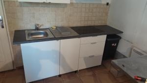 małą kuchnię ze zlewem i blatem w obiekcie Studio charmant w mieście Fontenay-sous-Bois +1 zdjęcie