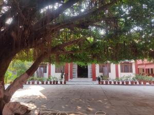Zahrada ubytování Parmarth gyan mandir by pandit ji stay