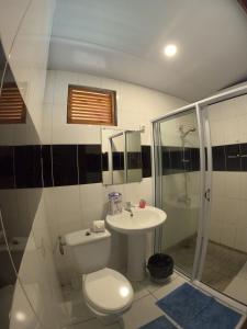 a bathroom with a toilet and a sink and a shower at Hava'e Lodge TEAHUPOO in Teahupoo +41 photos