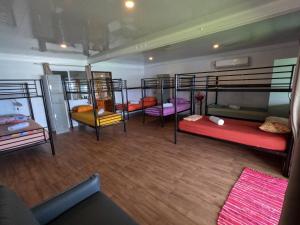 a room with four bunk beds in it at Hava'e Lodge TEAHUPOO in Teahupoo
