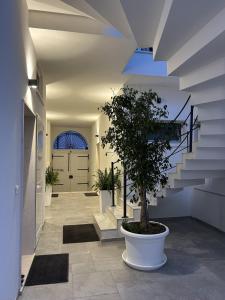 Fotografie z fotogalerie ubytování Borgo di Levante luxury apartments v destinaci Brindisi