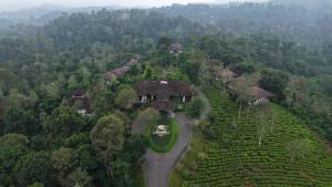 Landskap semula jadi dekat dengan resort