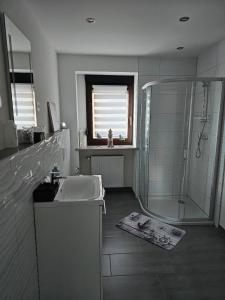 Koupelna v ubytování Ferienwohnung Am Bonzenberg + 29 fotografií