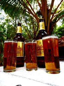 Joogid majutusasutuses Whisky Point Hotel Meera